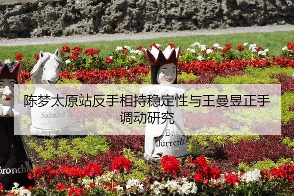 陈梦太原站反手相持稳定性与王曼昱正手调动研究